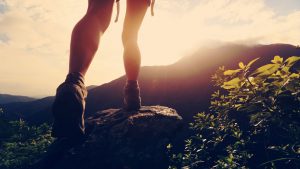 Planned Hiking Adventure