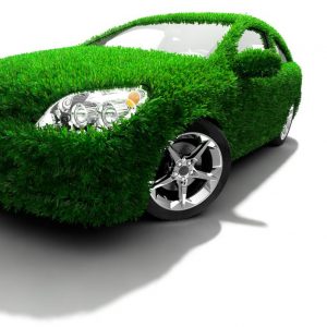 Minimize Pollution