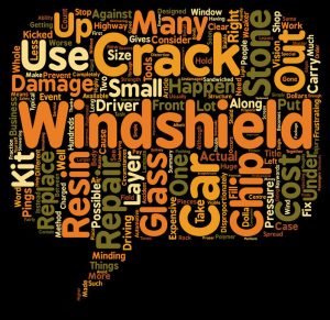 Cracked Windshield Training In Driving School