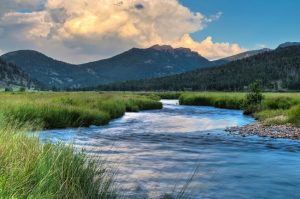 Take Driving Lessons Before Scenic Mountain Drives