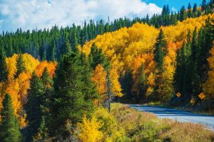 Driving Classes For Mountain Driving