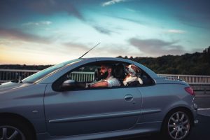 Keep Pets Safe Crate Them While Taught At Driving School